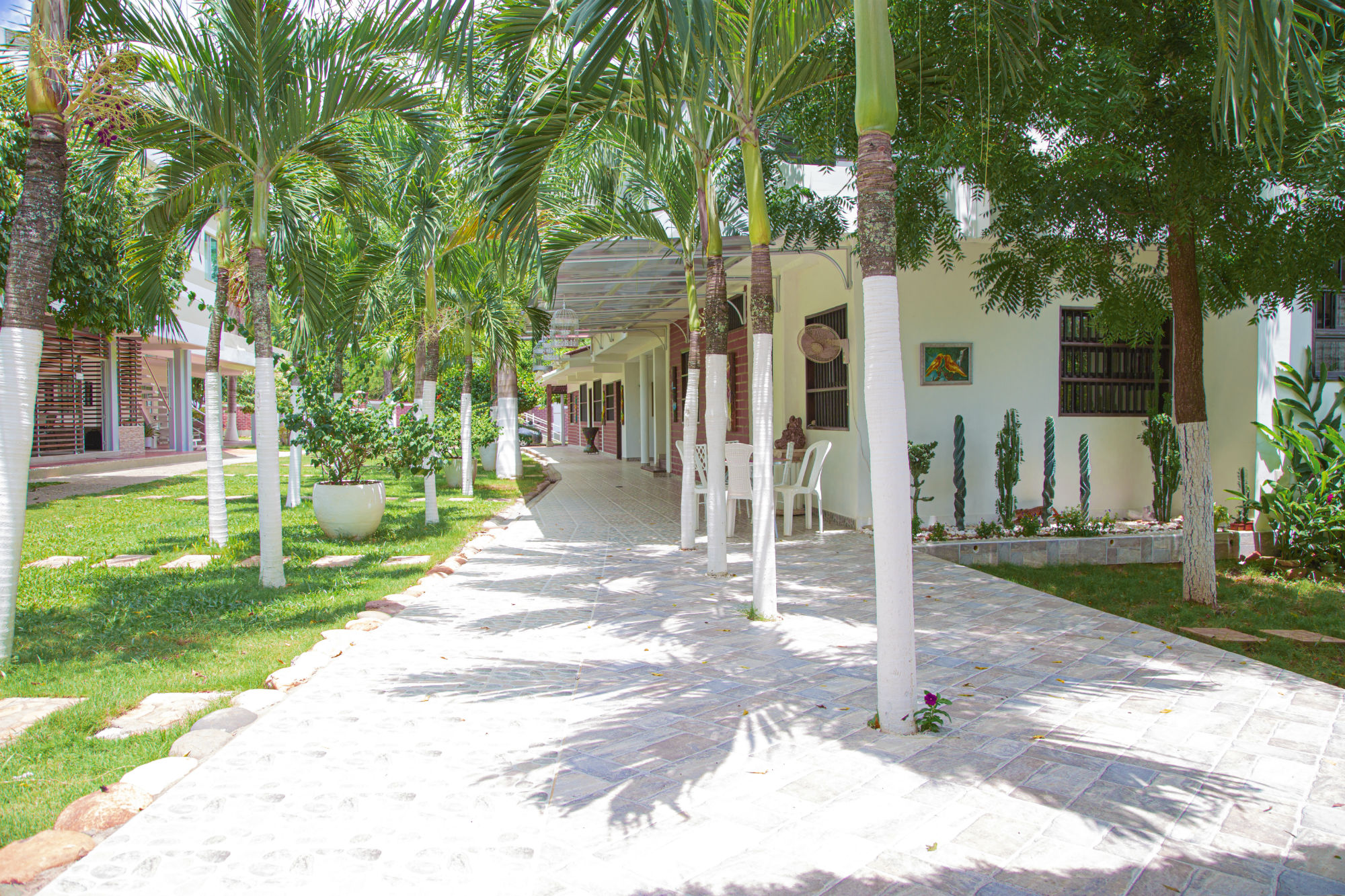 CABAÑAS LA PALMA EN CAUCASIA